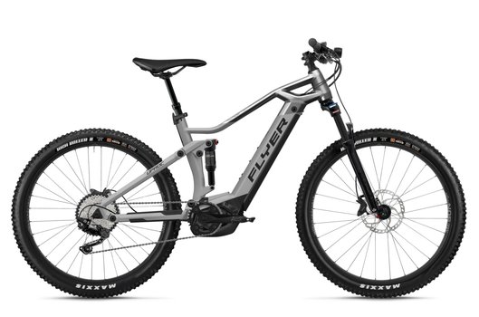 E-Bike 2021