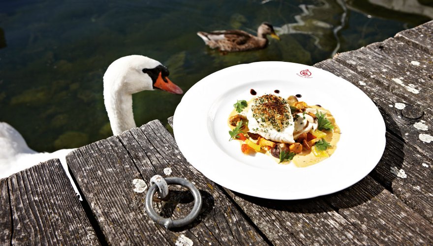 Kulinarik im Seehotel Schwan